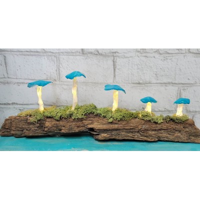 Cours en présentiel - Lampe champignons sur bois flotter